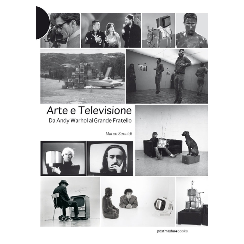 Arte e televisione. Da Andy Warhol al Grande Fratello